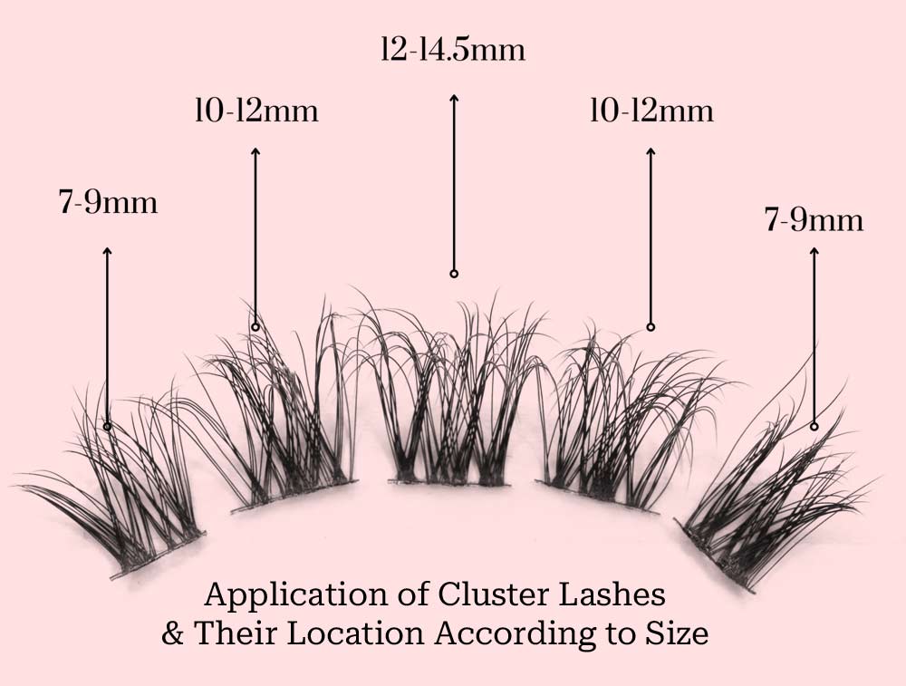 cluster-lashes-application sizes chart