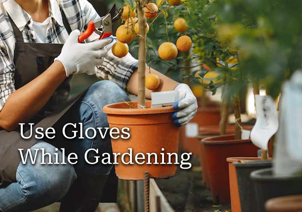 Use gloves when gardening or working in the yard